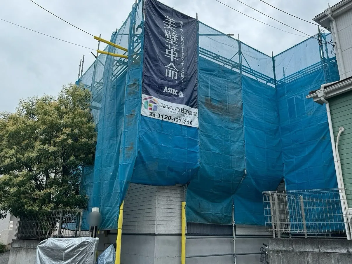 ────────────────────────